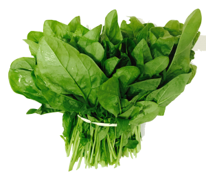 Spinach PNG-79164